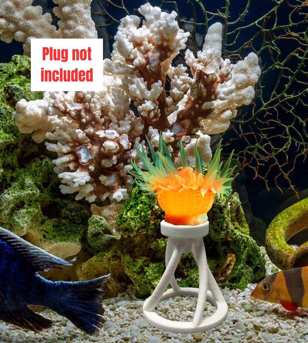 Chatelet REEFSHAPE Coral Frag Plug Stand for Coral Stability | 5 Pack Aquarium Substrate Frag Holder | Coral Protector Inserts | Made in USA
