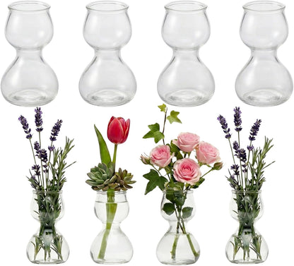 Clear Glass Bud Vases - Propagation Stations (Set of 8)