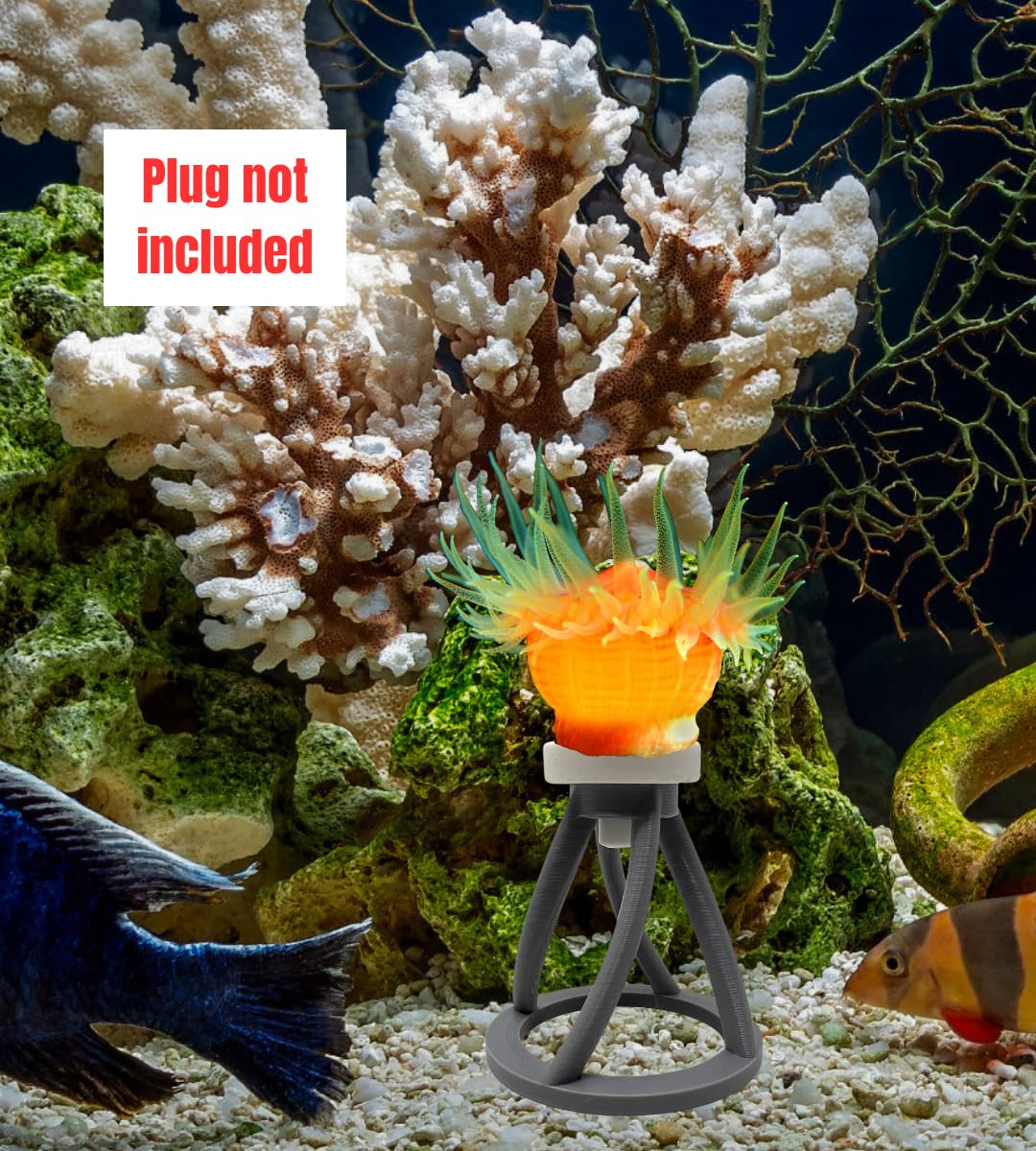 Chatelet REEFSHAPE Coral Frag Plug Stand for Coral Stability | 5 Pack Aquarium Substrate Frag Holder | Coral Protector Inserts | Made in USA