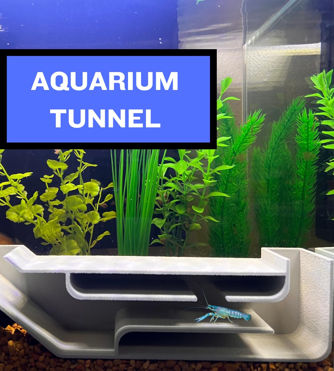 Chatelet REEFSHAPE Aquarium X-Large Underground Tunnel | Fish & Shrimp Hideout for Aquariums | Unique Underground Viewing Tunnel | 9.75" X 2.5" | Made in USA (XL)