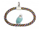 JW Pet Swing N Perch Ring Multi-Color Small