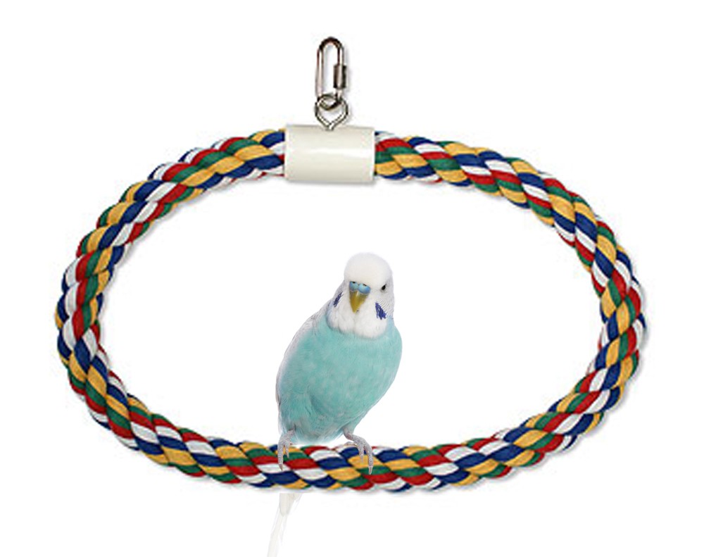 JW Pet Swing N Perch Ring Multi-Color Small