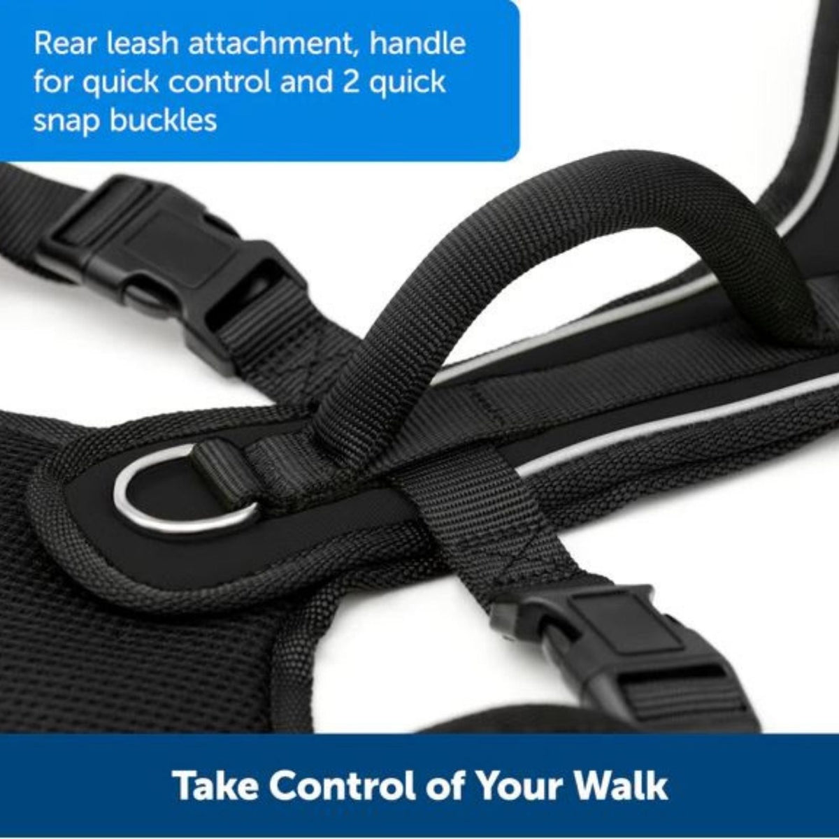 Petsafe Dog Easy Sport Harness Teal Medium