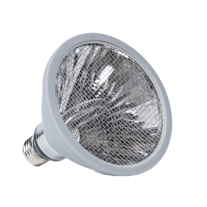InfraGlo Heat Lamps