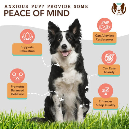 Natural Dog Company Dog Calming Supplement Chews - 90 Count