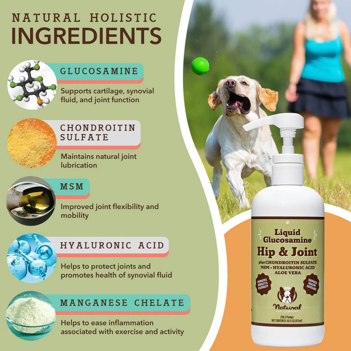 Natural Dog Company Dog Hip & Joint / Glucosamine Oil 16oz.
