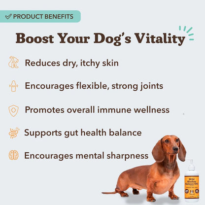 Natural Dog Company Dog & Cat Wild Alaskan Salmon Oil 8oz.