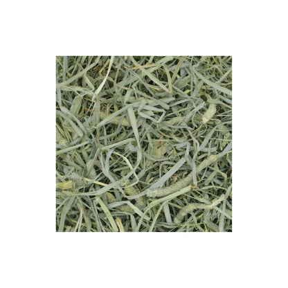 Oxbow Small Animal Prime Crunchy Timothy Hay 40oz. Default Title