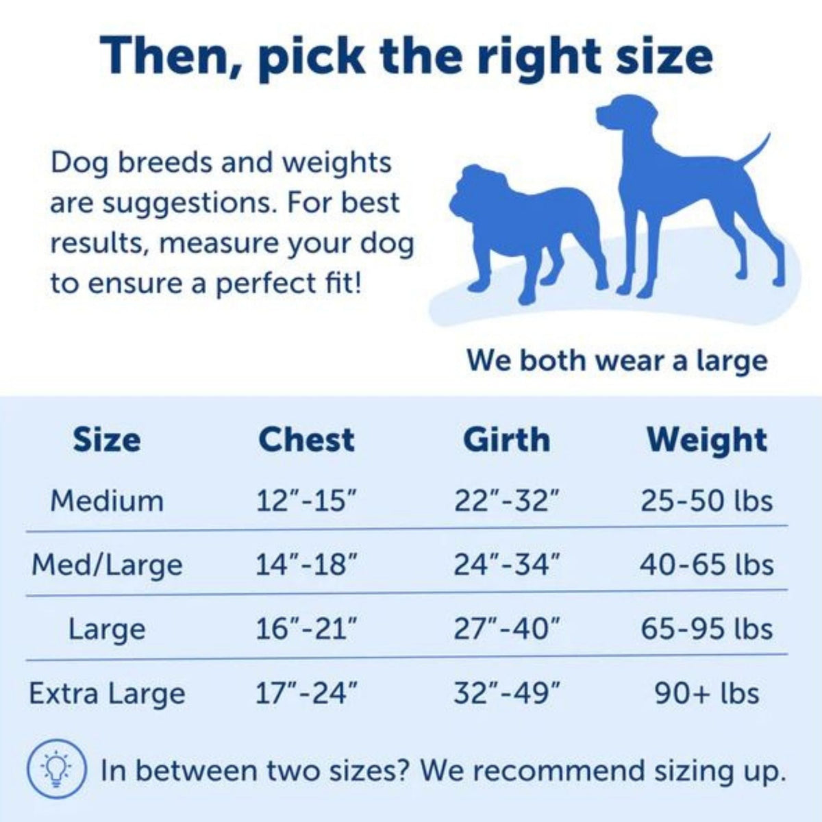 Petsafe Dog Easy Walk Harness Red Medium / Large