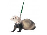 Marshall Pet Products Ferret Harness and Lead Set Black