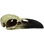 Komodo Raven Skull Hideout 1ea-LG; 18 in