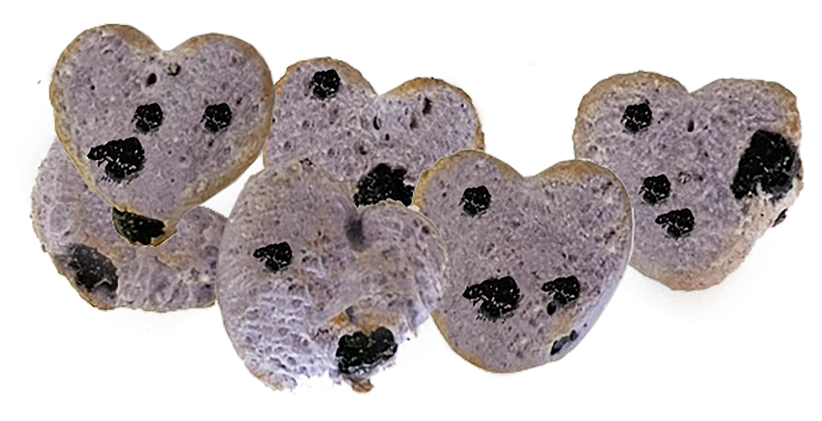 Much Loved Dog™ Blueberry BUNDLE