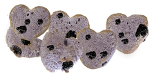 Much Loved Dog™ Blueberry BUNDLE