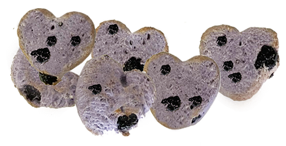 Much Loved Dog™ Blueberry BUNDLE