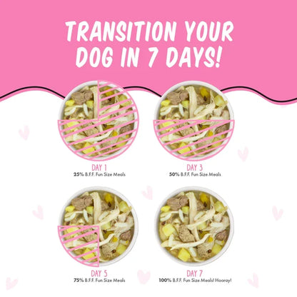 Bff Dog Wanna Be Withya Chicken Rice & Chicken Liver Cup 2.7oz. (Case of 12)