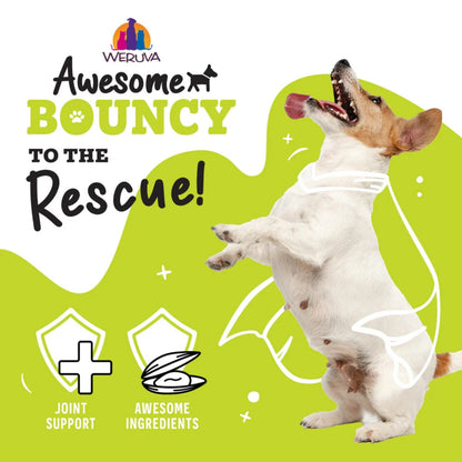 Weruva Dog Bouncy Chicken & Veggie 6oz. (Case of 8)