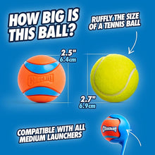ChuckIt Dog Ultra Ball 1 Pack