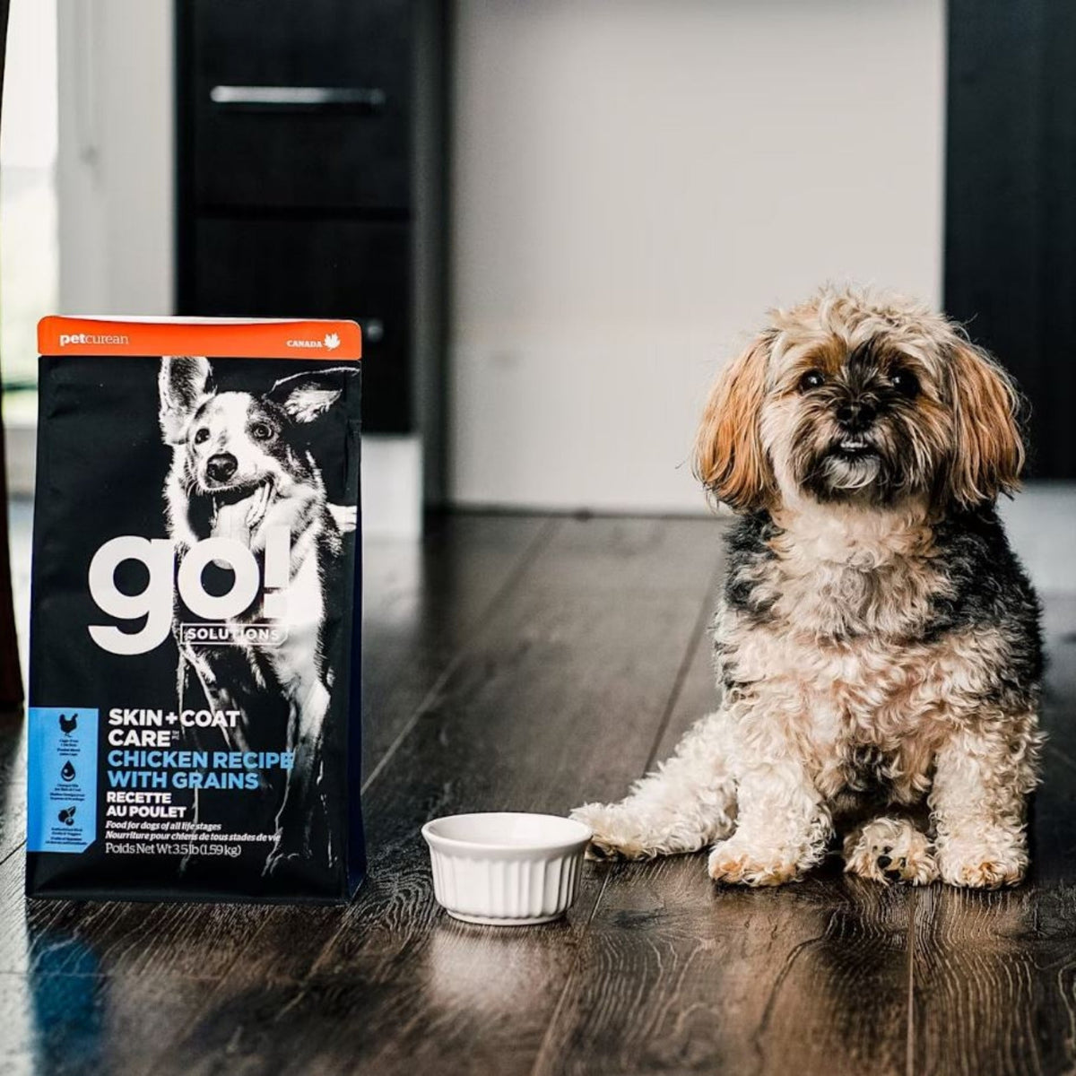 Go! Dog Skin & Coat Care Chicken With Grain 12Lb