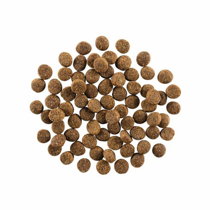 Go! Dog Skin & Coat Care Salmon With Grain 12Lb