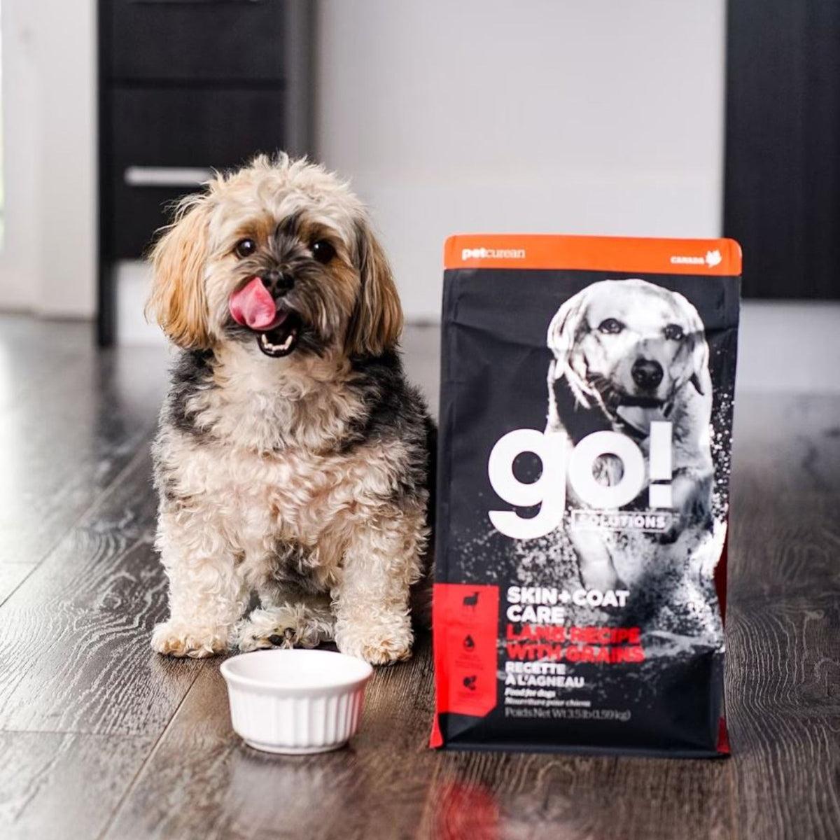 Go! Dog Skin & Coat Care Lamb With Grain 3.5Lb