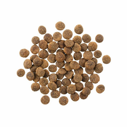 Go! Dog Sensitivities Limited Ingredient Grain Free Lamb 22Lb
