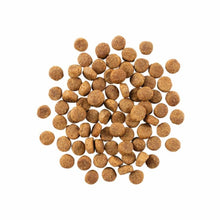 Go! Dog Skin & Coat Care Duck With Grain 12Lb