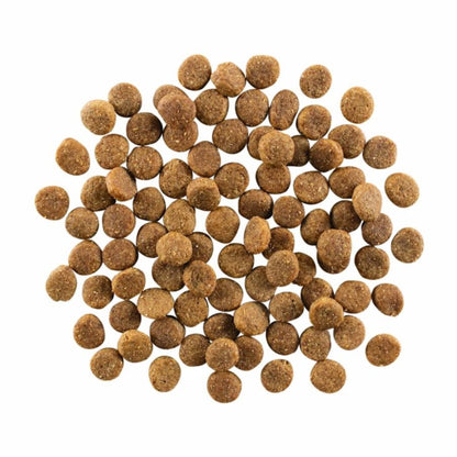Go! Dog Skin & Coat Care Chicken With Grain 22Lb