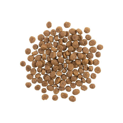 Go! Dog Sensitivities Limited Ingredient Grain Free Small Bites Salmon 3.5Lb