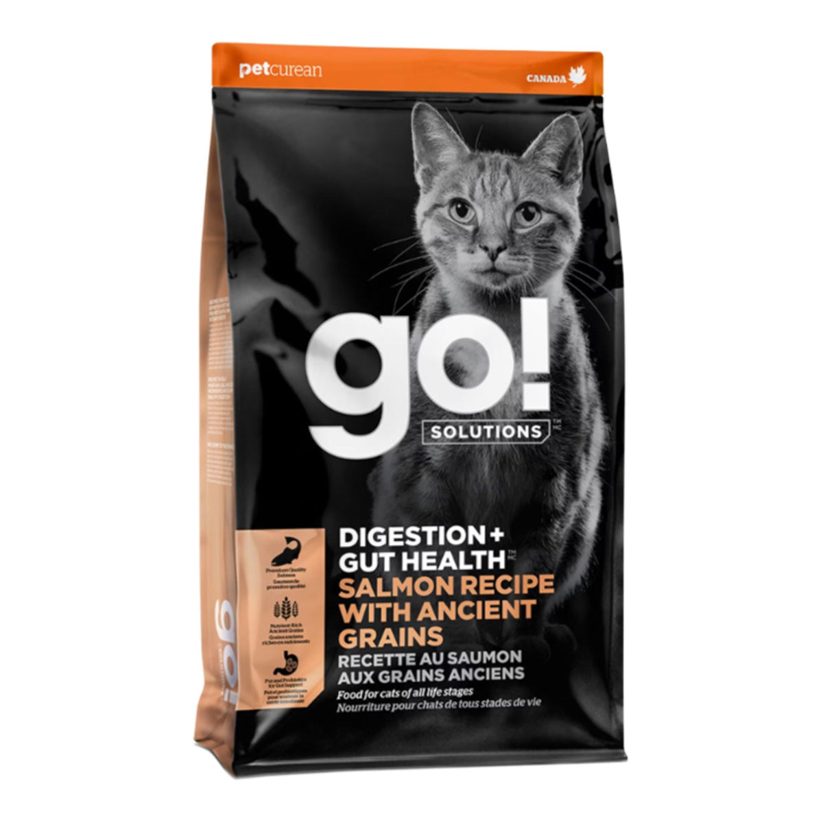 Go! Cat Digestion + Gut Health Salmon Recipe With Ancient Grains 6Lbs