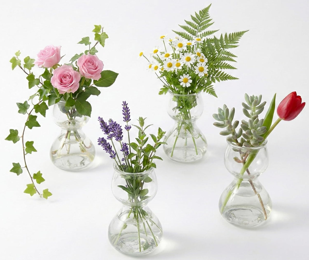 Clear Glass Bud Vases - Propagation Stations (Set of 4)