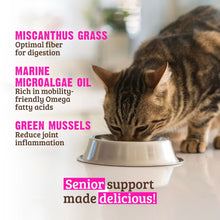 Rawz Senior Cat Chicken Green Mussels Pumpkin Pate 5.5oz. (Case of 24)