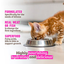 Rawz Kitten Cat Beef Beef Liver Pate 2.8oz. (Case of 18)