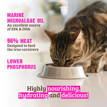 Rawz Phosphorus Cat Tuna Salmon Pate 5.5oz. (Case of 24)