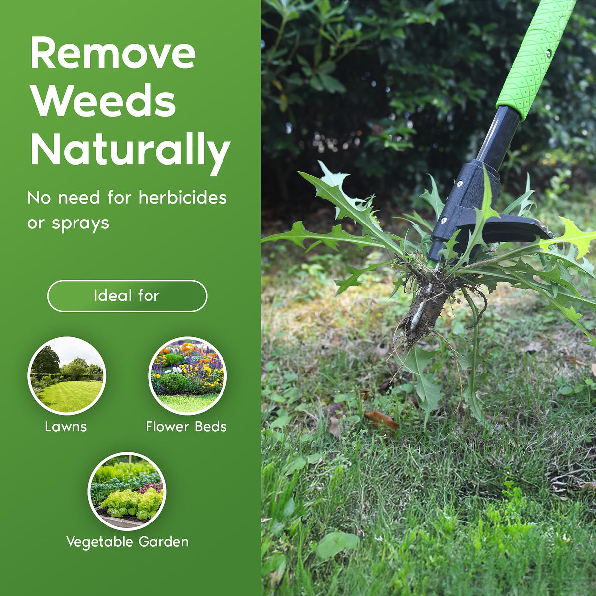 Standing Weeder Tool