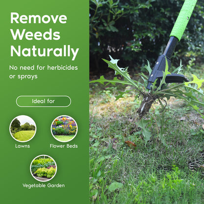 Standing Weeder Tool