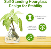 Plant Propagation Stations - Clear Glass Bud Vases (Set of 2)