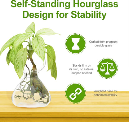 Clear Glass Bud Vases - Propagation Stations (Set of 8)