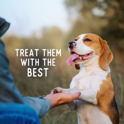 Beg & Barker Whole Turkey Chips Dog Treats 8oz