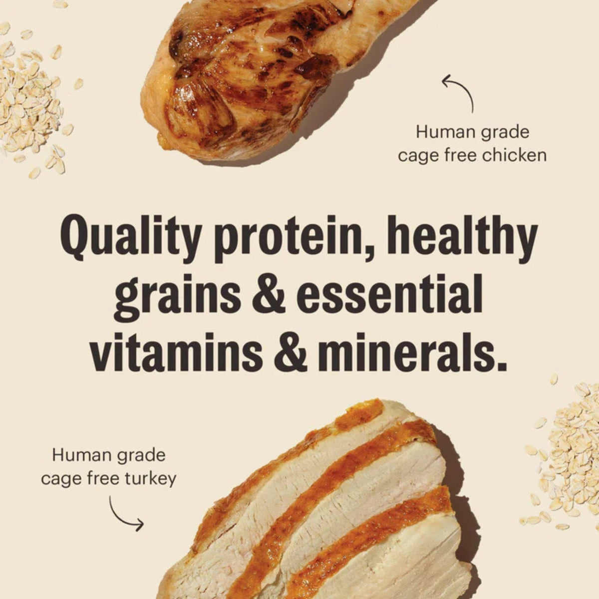 The Honest Kitchen Dog Essential Clusters Turkey, Chicken & Oat 5lbs.