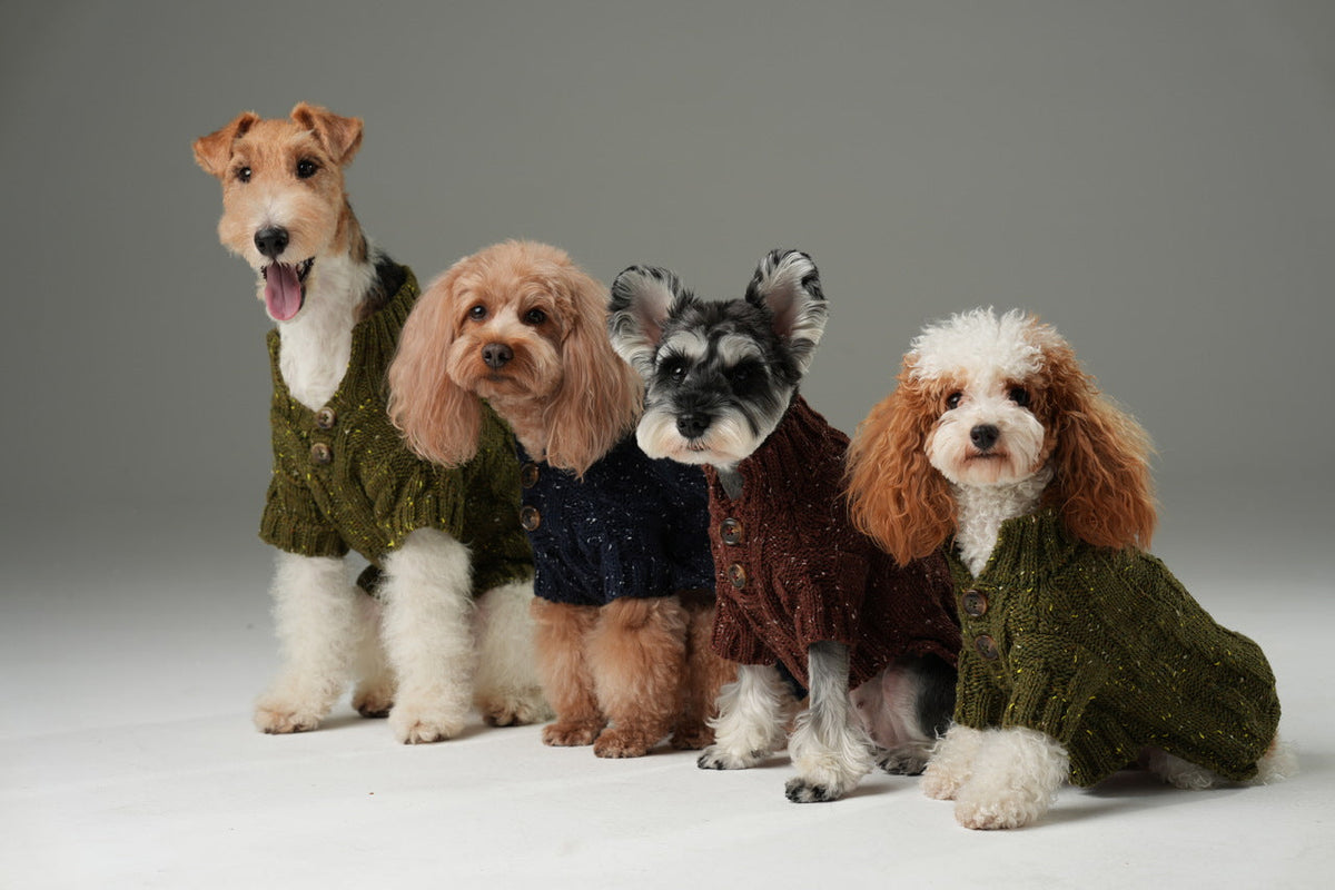 GLACIER PET SWEATER - OLIVE GREEN