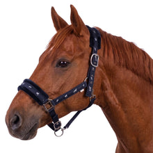 Miller's Breakaway Halter with Fleece