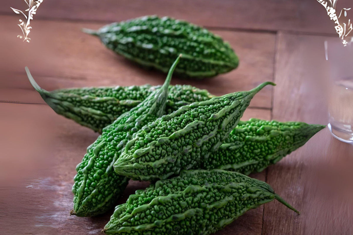 Bitter Gourd Futo Spindle Seeds – Heirloom Momordica charantia for Home Gardens, Stir-Fries & Curries, 5 Seeds