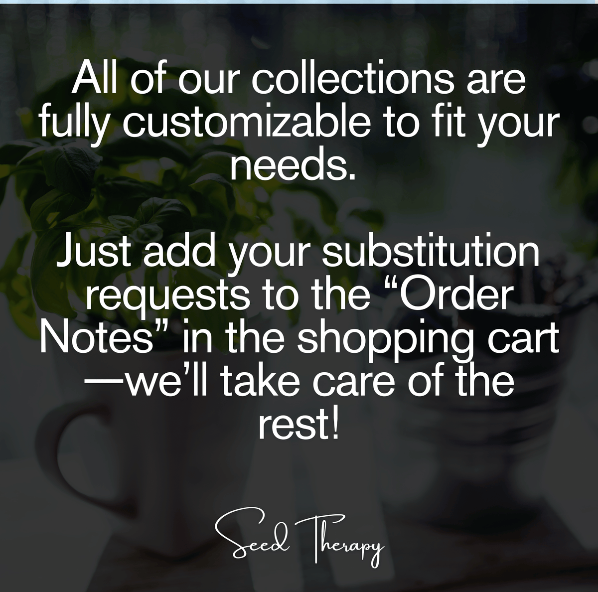 Culinary Herb Seed Collection – 15 Varieties