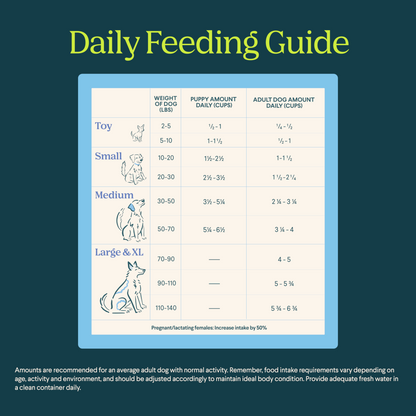 Silver Carp Dog Food