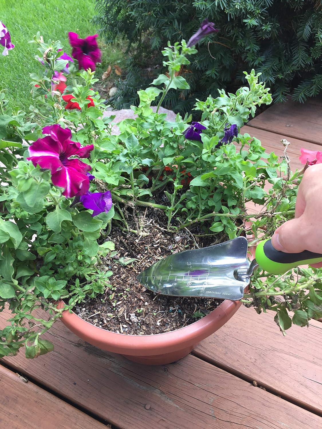 Stainless Steel Garden Transplanter Trowel