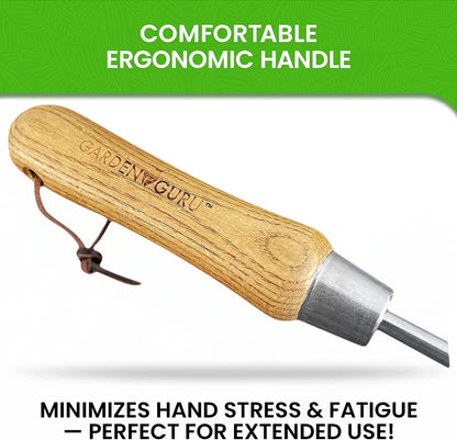 Stainless Steel Garden Dandelion Weeder (classic wood handle)
