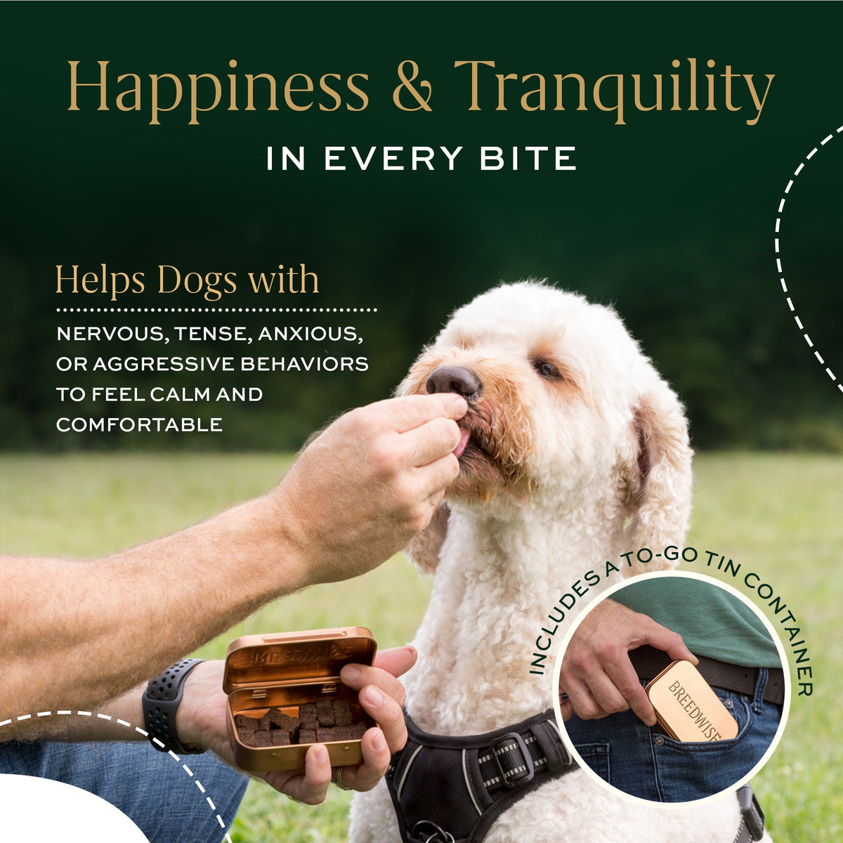 Calming Bites & Carrying Tin