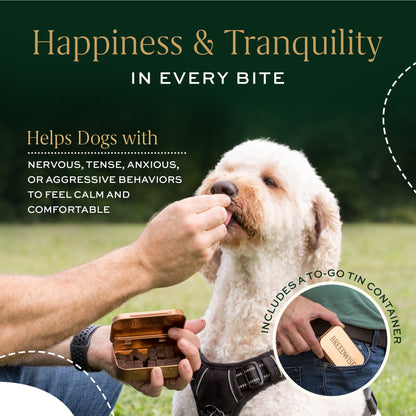 Calming Bites & Carrying Tin