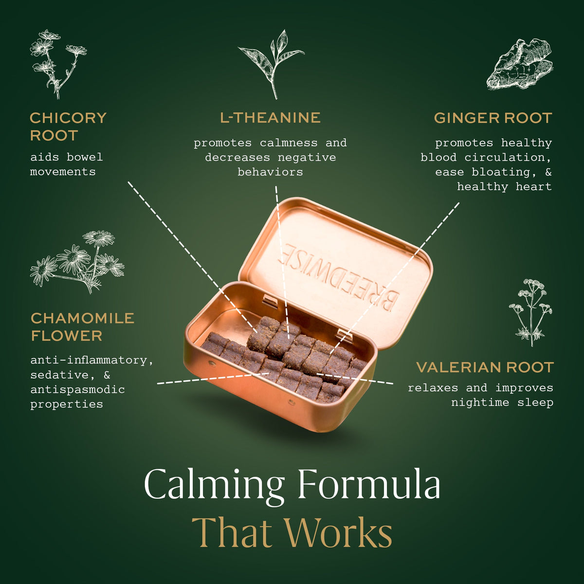 Calming Bites & Carrying Tin