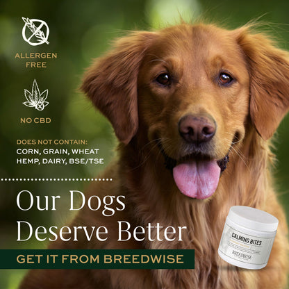 Calming Bites & Carrying Tin